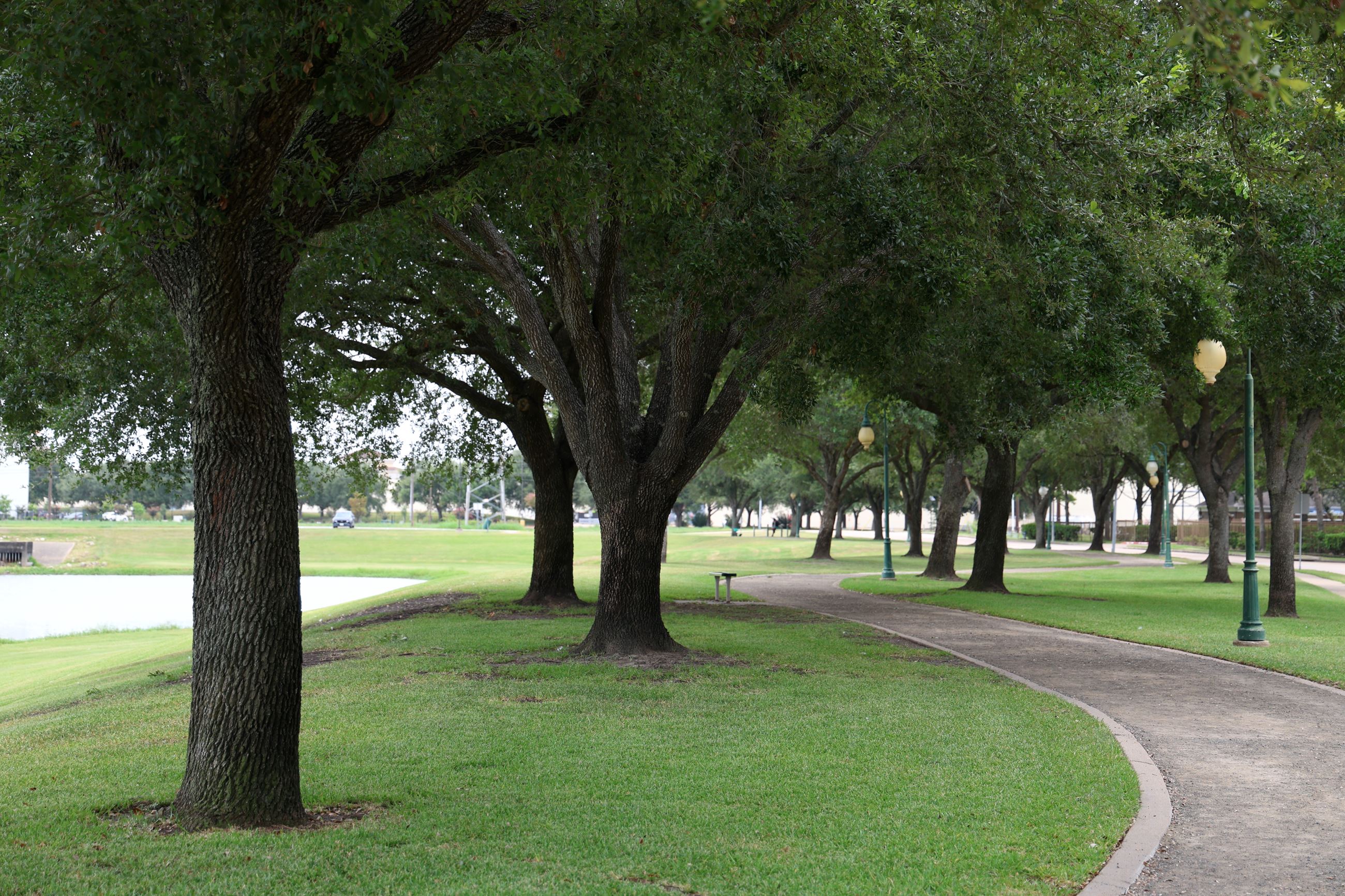 Stafford, TX artificial turf projects