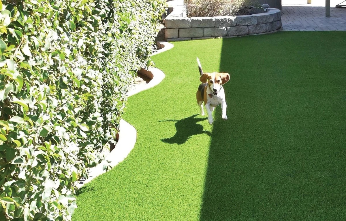 Drainage and Base Preparation in Missouri City, TX